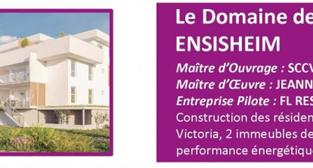 Les coulisses du bâtiment fêtent leur 20 ans chez FL RÉSIDENCES, plus précisément à Ensisheim.