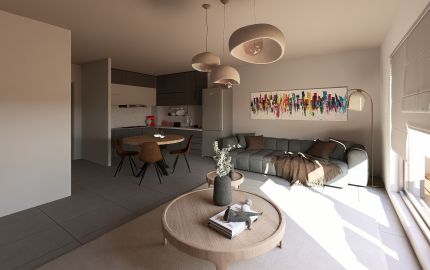 Salon séjour ouvert sur la cuisine