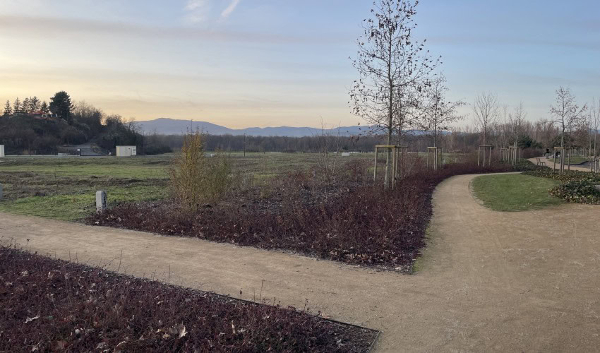 Reportage chantier - avril 2025