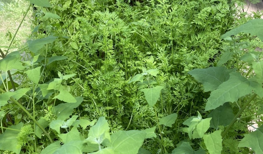 Reportage chantier - juin 2023