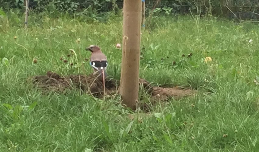 Reportage chantier - 