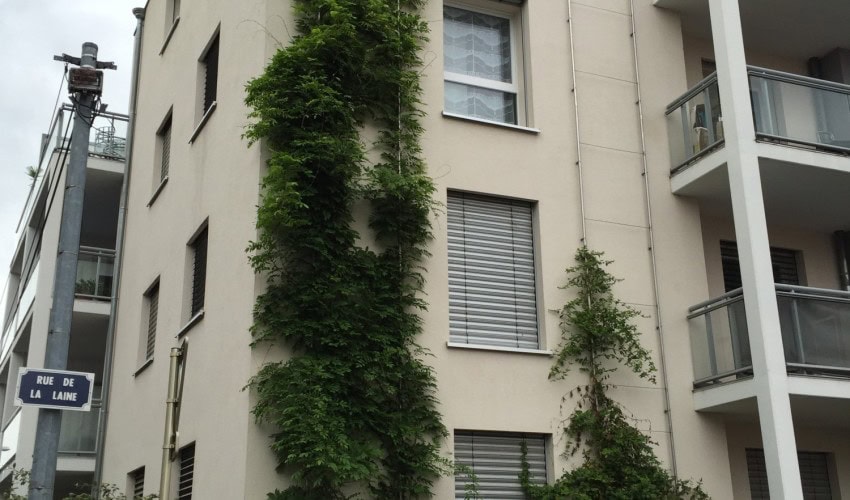 Reportage chantier - mai 2016