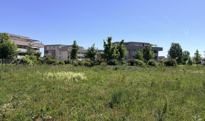 Reportage chantier - mai 2026