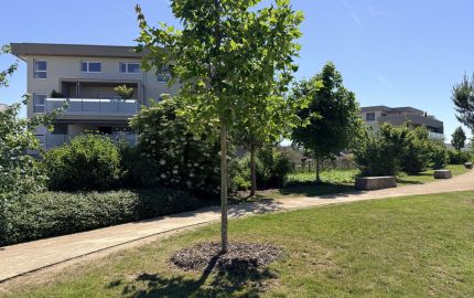 Photo du chantier - Résidence Le Supérieur